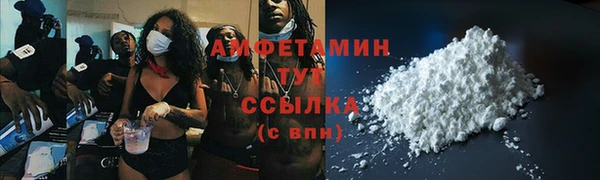 прущие грибы Няндома