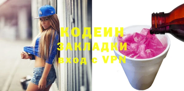 прущие грибы Няндома