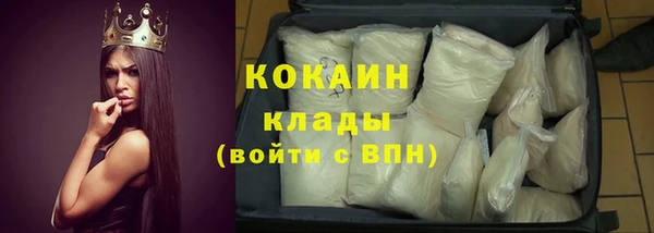 прущие грибы Няндома