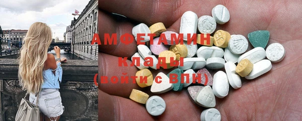 прущие грибы Няндома