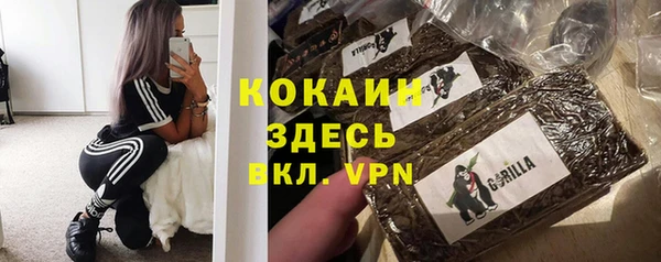 прущие грибы Няндома