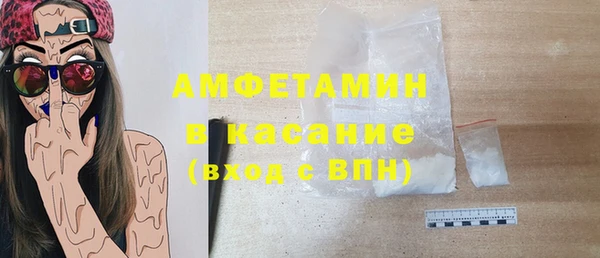прущие грибы Няндома