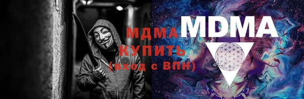 прущие грибы Няндома