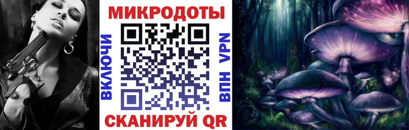 наркотики  Курчалой  это телеграм  Псилоцибиновые грибы MAGIC MUSHROOMS 