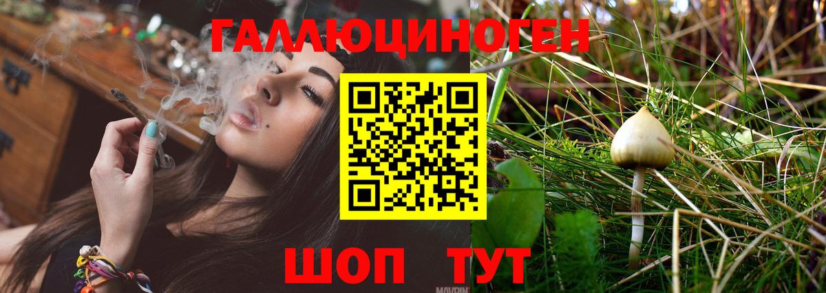 Псилоцибиновые грибы MAGIC MUSHROOMS Курчалой