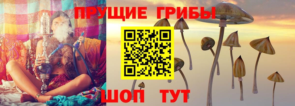 Псилоцибиновые грибы Psilocybine cubensis  Вход с VPN  где купить   Курчалой 