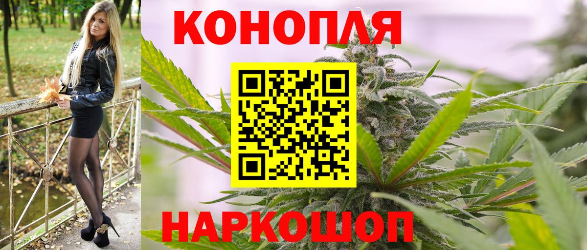 Бошки Шишки марихуана Курчалой